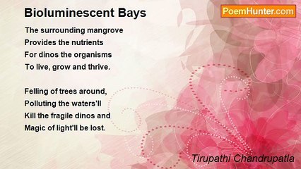 Explore the Magical Bioluminescent Bays with Tirupathi Chandrupatla ✨