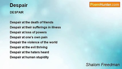 Shalom Freedman - Despair
