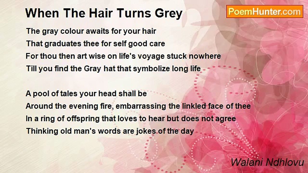 Walani Ndhlovu - When The Hair Turns Grey