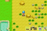 Harvest Moon : Friends of Mineral Town online multiplayer - gba