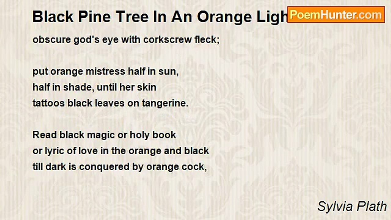 Sylvia Plath - Black Pine Tree In An Orange Light