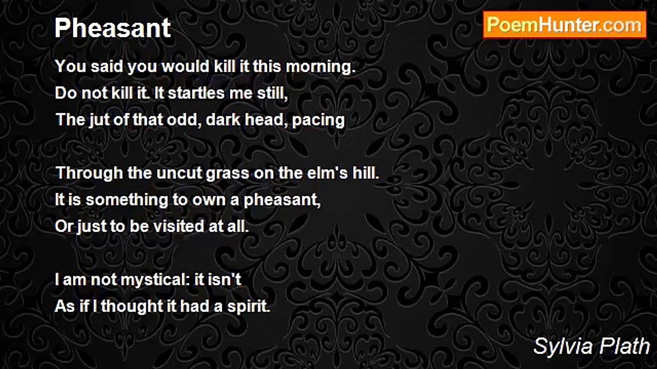 Sylvia Plath - Pheasant