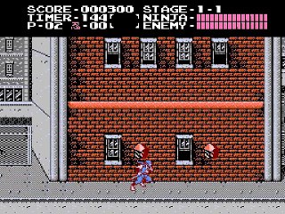 Ninja Gaiden online multiplayer - nes