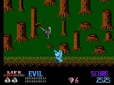Wizards & Warriors online multiplayer - nes