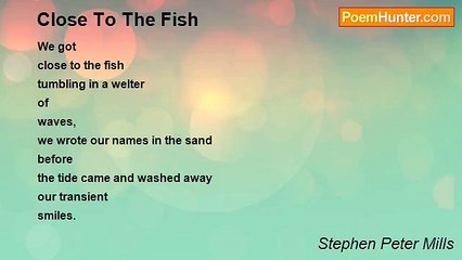 Stephen Peter Mills - Close To The Fish