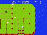 Dig Dug II - Trouble in Paradise online multiplayer - nes