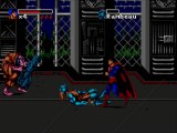 The Death and Return of Superman online multiplayer - megadrive