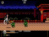 Mystical Fighter online multiplayer - megadrive