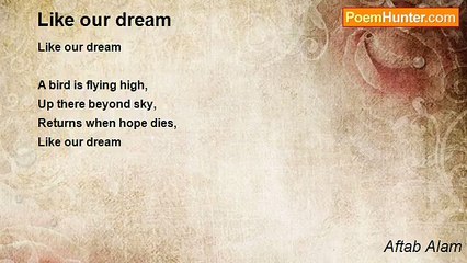 Aftab Alam - Like our dream