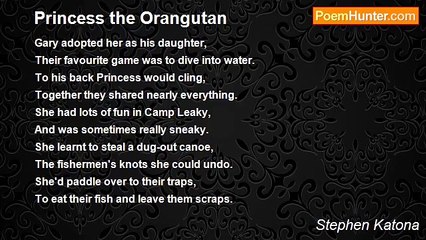 Stephen Katona - Princess the Orangutan