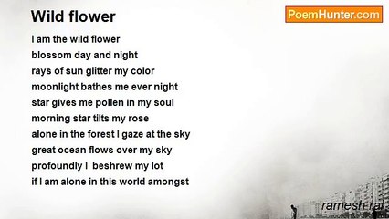 ramesh rai - Wild flower