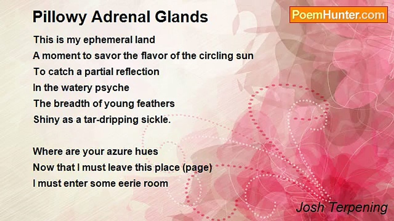 Josh Terpening - Pillowy Adrenal Glands