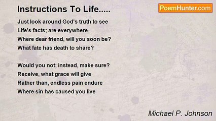 Michael P. Johnson - Instructions To Life.....
