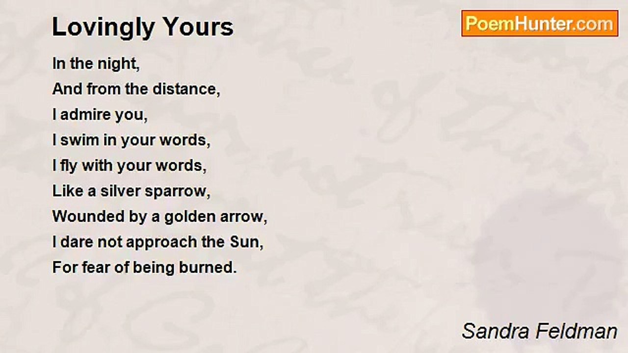 Sandra Feldman - Lovingly Yours