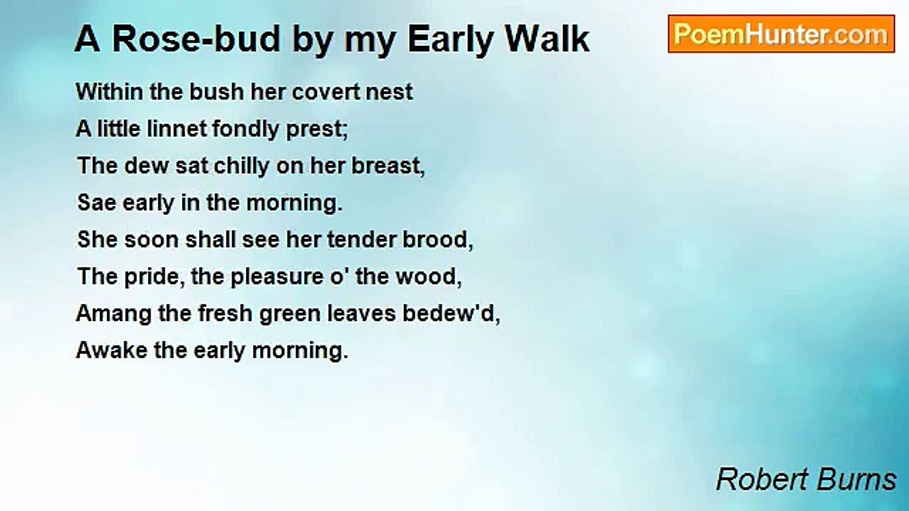 Robert Burns - A Rose-bud by my Early Walk