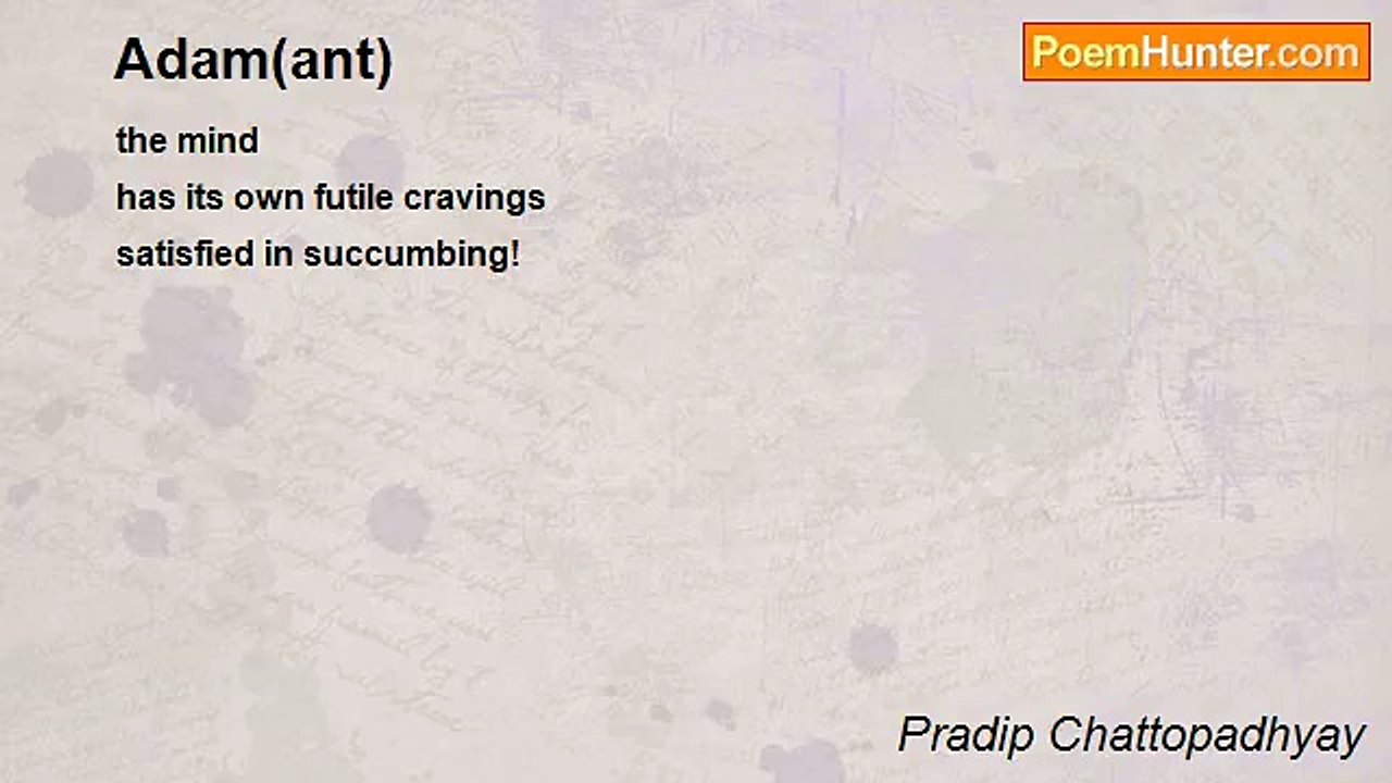 Pradip Chattopadhyay - Adam(ant)