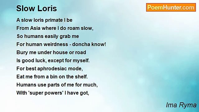 Ima Ryma - Slow Loris