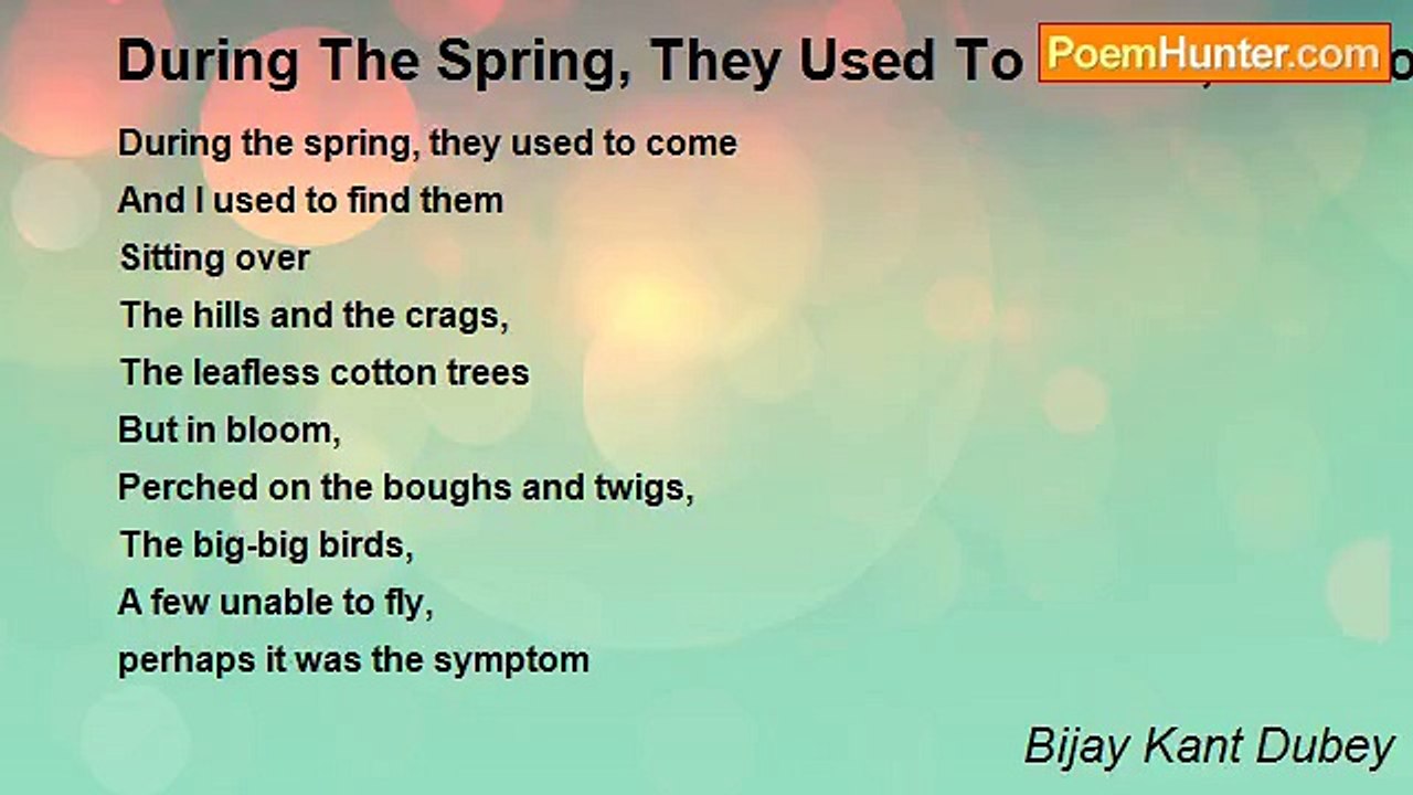 Bijay Kant Dubey - During The Spring, They Used To Come, But Now Vultureless