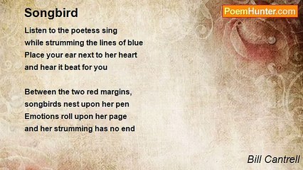 Bill Cantrell - Songbird
