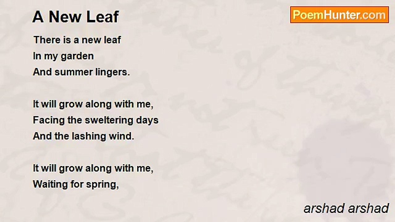 arshad arshad - A New Leaf