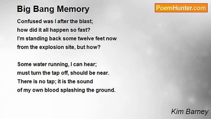 Kim Barney - Big Bang Memory