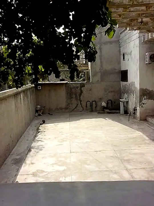 Ball Throwing Machine For Cricket ,Tenneis, BaseBall.Pakistan video