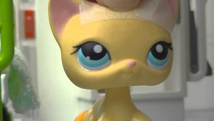 ♥ LPS Troublemaker - Episode 10 (Confessions) ♥