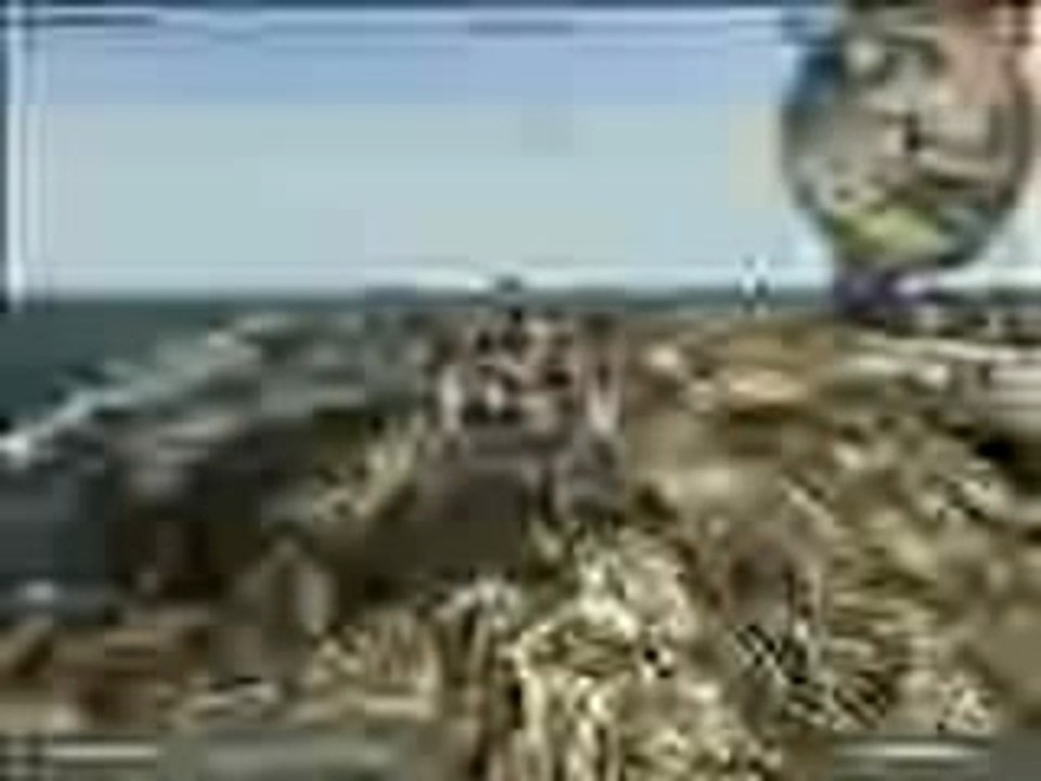 FreeStyLe BuGGy