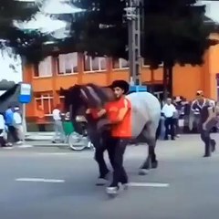 Everyone Knows To Never Ever Touch A Horse s Behind