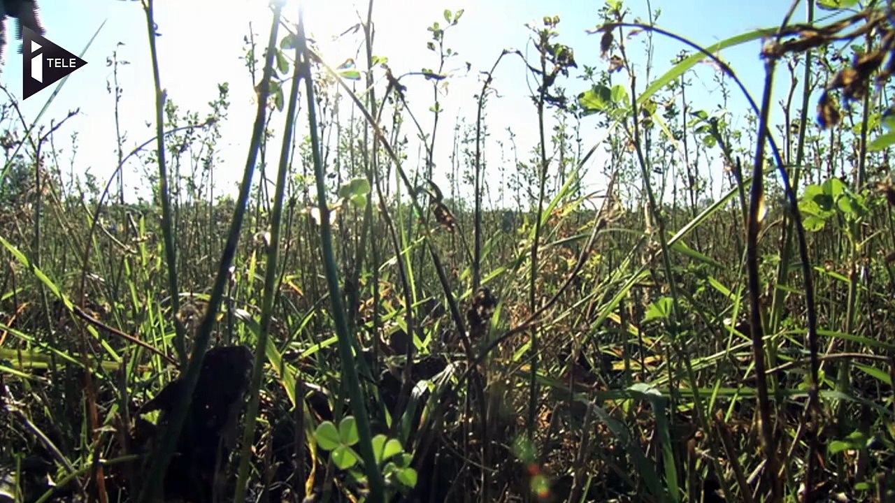 Sivens : quelle est l'utilité du barrage ?