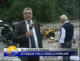 Otobüs Bekleyen Kediler