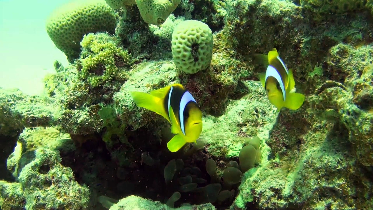 Aldiana Makadi Bay 2012