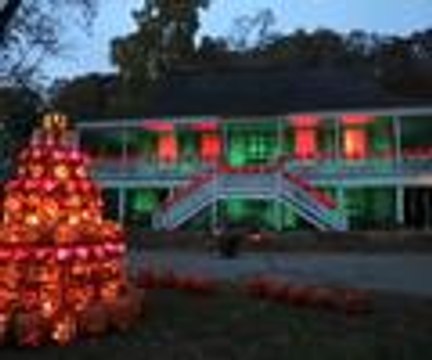 Bal kabakları sanat eseri oldu