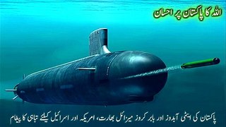 Pakistan Navy gets submarine and missiles - Daily Siasat