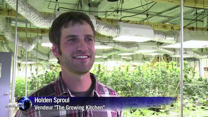 Faut-il interdire les bonbons au cannabis dans le Colorado ?