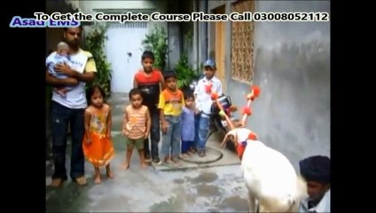 Teacher Training Asad Yaqub Part 4