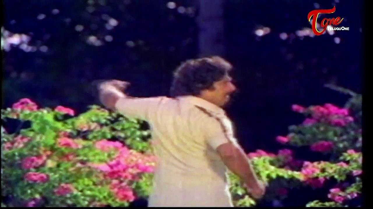 Gopalarao Gari Ammayi Movie Comedy Scenes || Chandra Mohan Funny Behaviour in The Park