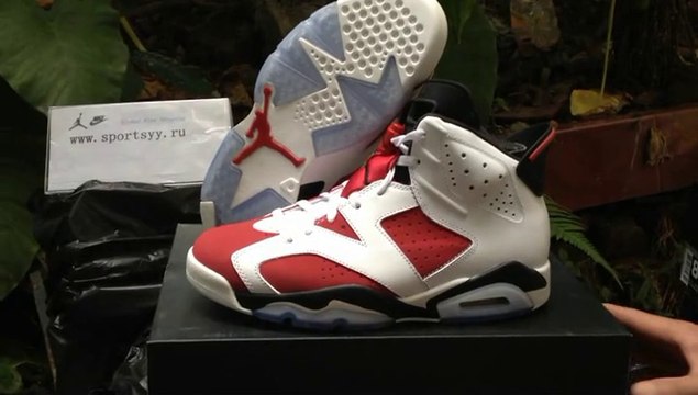 Authentic Nike Air Jordan 6 Retro Carmine Shoes