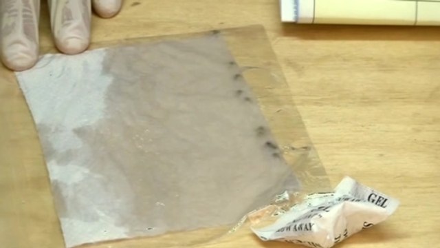 Marijuana seeds planted in Chile