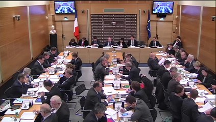 Intervention de Philippe Gosselin en Commission des Lois le 22 octobre 2014