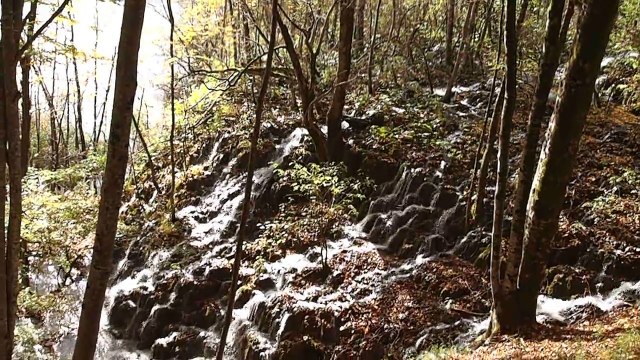 Plitvice Lakes National Park 4