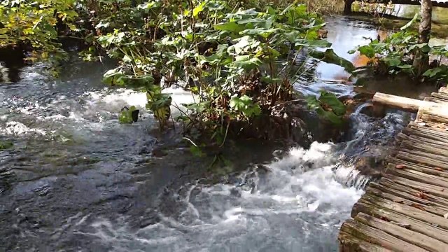 Plitvice Lakes National Park 6