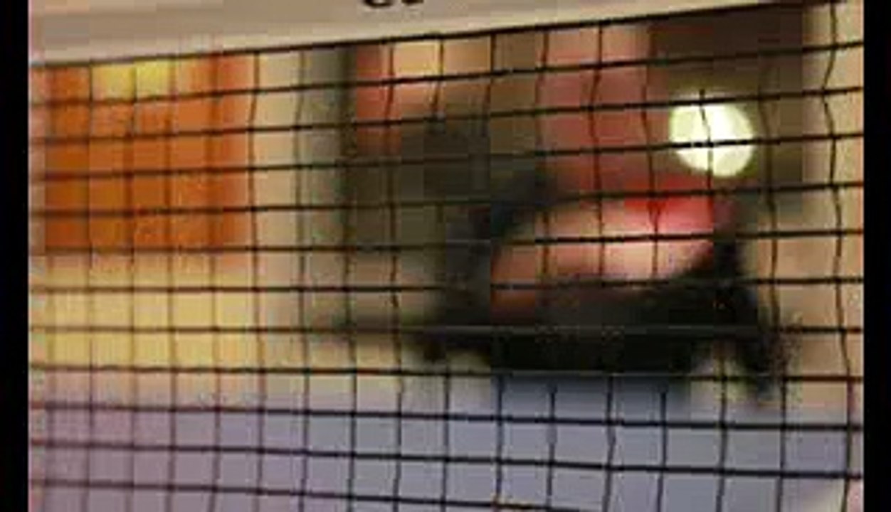 Comprendre et faire comprendre le handicap favorise l'intégration des travailleurs handicapés dans une entreprise. Cette démarche passe par la sensibilisation des managers et l'ensemble des salariés d'une entreprise afin que les différences soient accepté