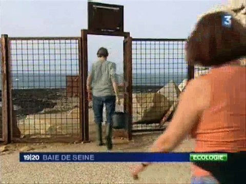 ACRO / Observatoire Citoyen de la Radioactivité dans l'Environnement - Prélèvements Fécamp - 17/09/2008 19-20 France3 Baie de Seine