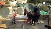 Forças de segurança matam alegado atirador palestiniano de Jerusalém