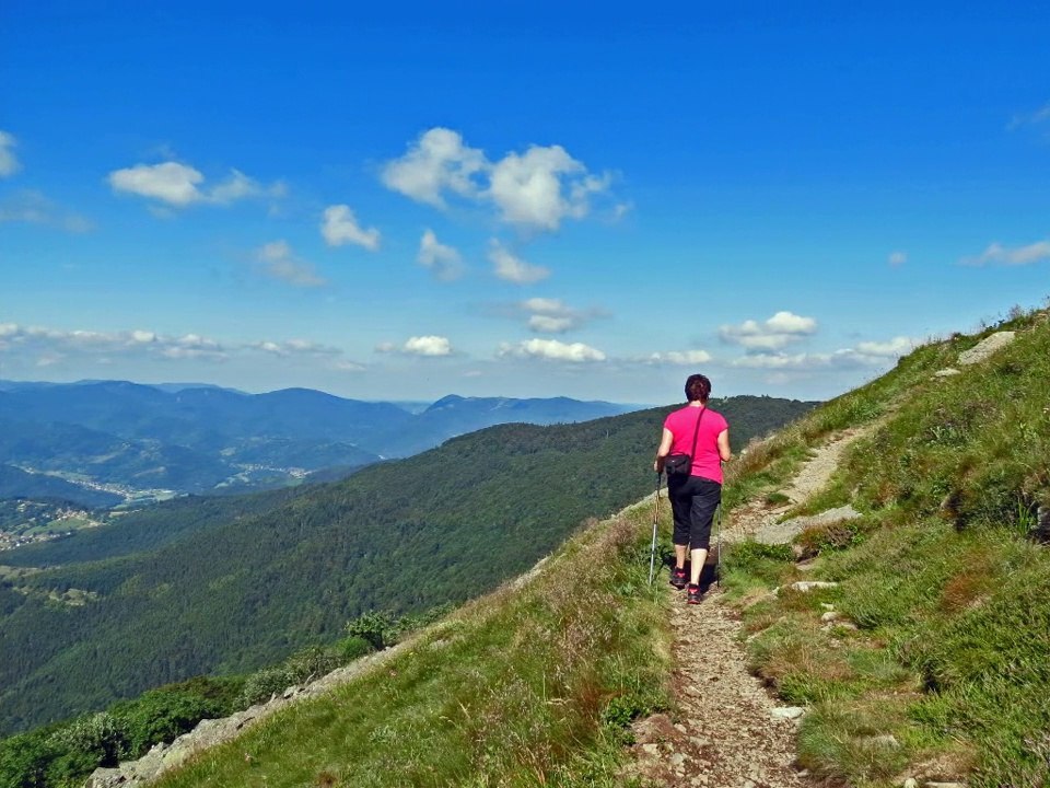 LE SENTIER PANORAMIQUE DU GRAND BALLON (Vosges)
