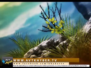 KALIWAL RANGOONA ( EP # 35 - 16-10-14) - Avt Khyber Program