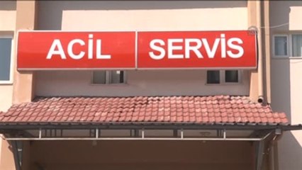 Sivas'ta Domuzun Saldırdığı Kişi Ağır Yaralandı