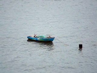 AVENTURAS DE MARCELO AMBROGI NOS MARES DE UBATUBA, SP, BRASIL - PARTE (3)