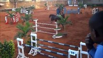 cso senegal 100% jumping